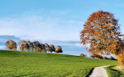 Der Weg ist das Ziel